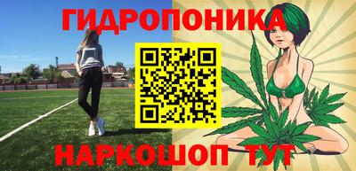 jwh Свободный