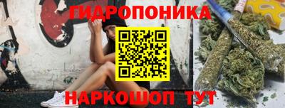 jwh Свободный