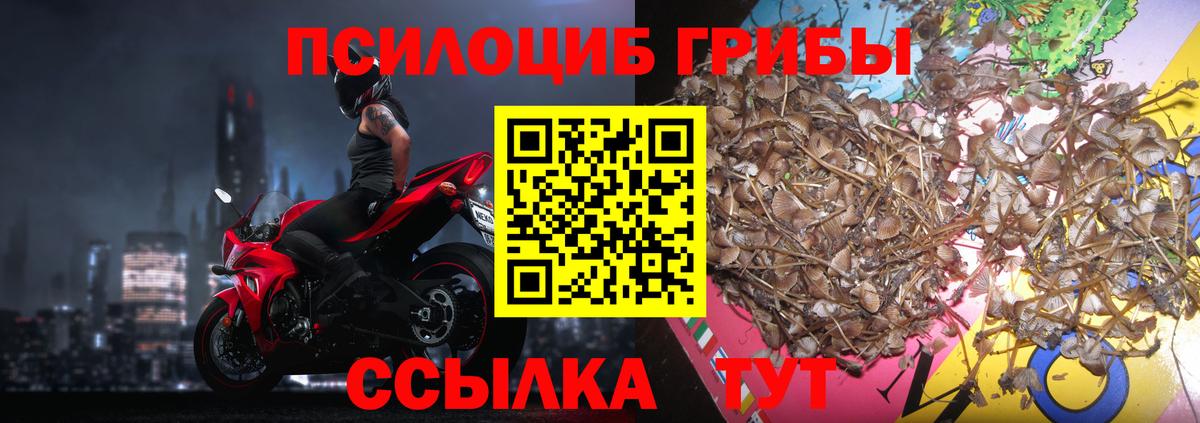 Галлюциногенные грибы прущие грибы  Вход с VPN  Петропавловск-Камчатский  Псилоцибиновые грибы ЛСД 